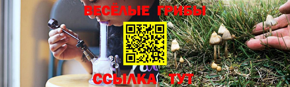 Галлюциногенные грибы Magic Shrooms Знаменск