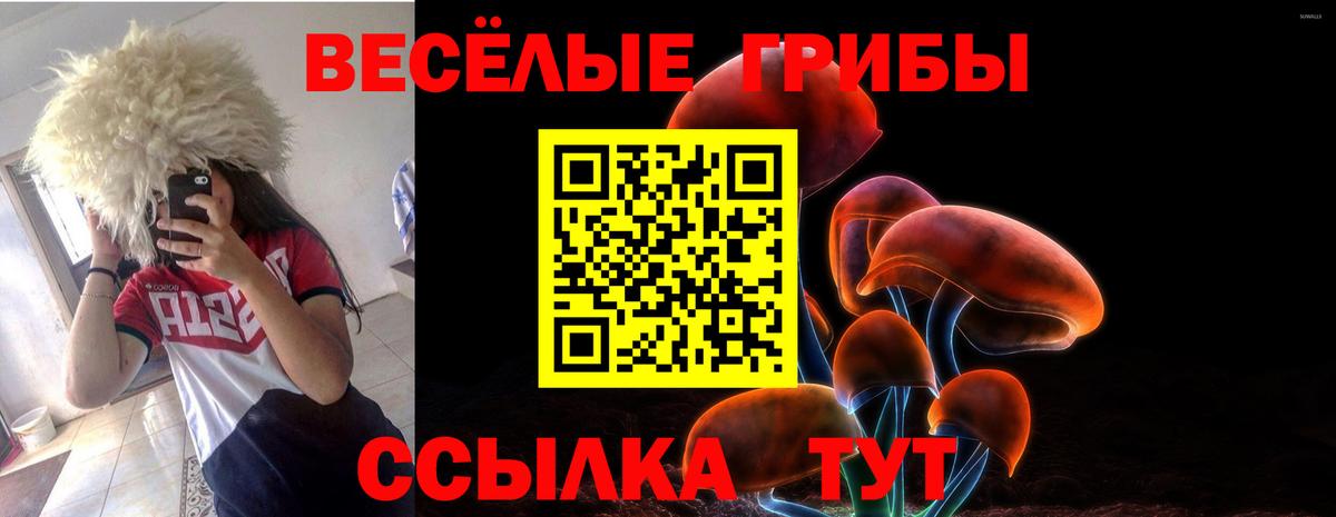 наркошоп  Псилоцибиновые грибы Cubensis  Вход с VPN  Знаменск 