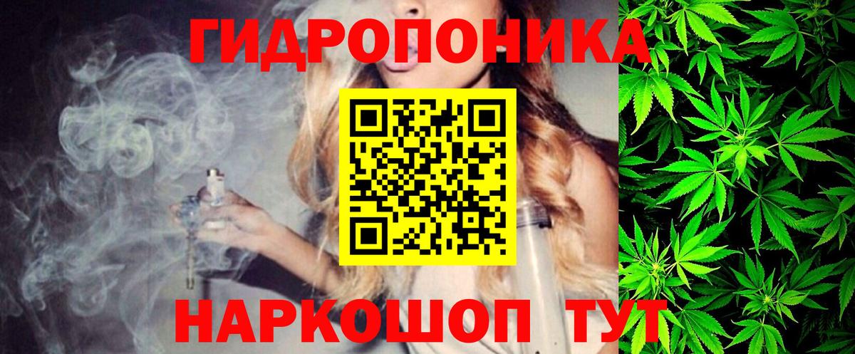 Бошки Шишки Amnesia Знаменск